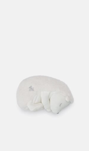تارتين ايت شوكولا بيج Moyenne Peluche for للنساء والرجال